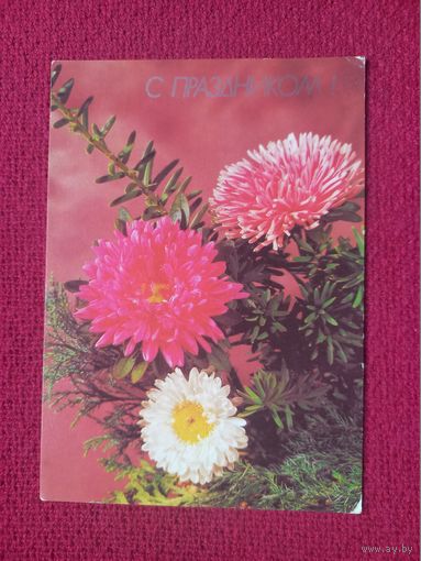 С Праздником! Круцко 1990 г. Чистая. Кр1.
