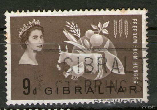 Гибралтар. Михель- 143. Гашеная.