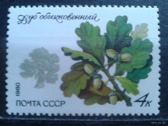 1980 Листья дуба, желуди**