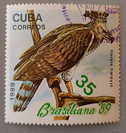 Птица. Куба, 1989