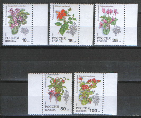 РФ. Заг. 77/81. 1993. Комнатные растения. ЧиСт.