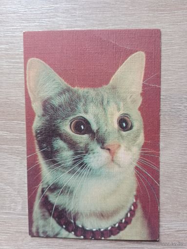 Календарик 1990