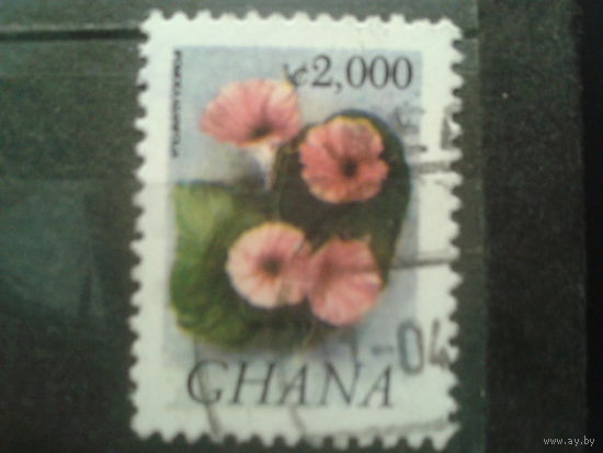 Гана, 2005. Ипомея