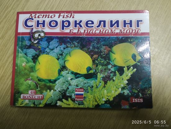 Сноркелинг в Красном море.