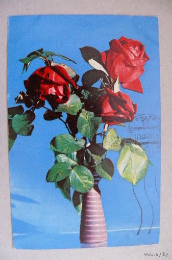 Стукалов В., Розы, 1970, подписана.