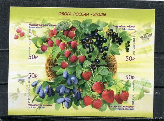 Россия 2020. Флора. Ягоды. Верхний квартблок листа