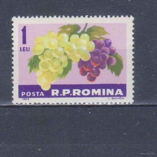 [451] Румыния 1963. Флора.Плоды.Ягоды.Фрукты.Виноград на почтовых марках. MNH