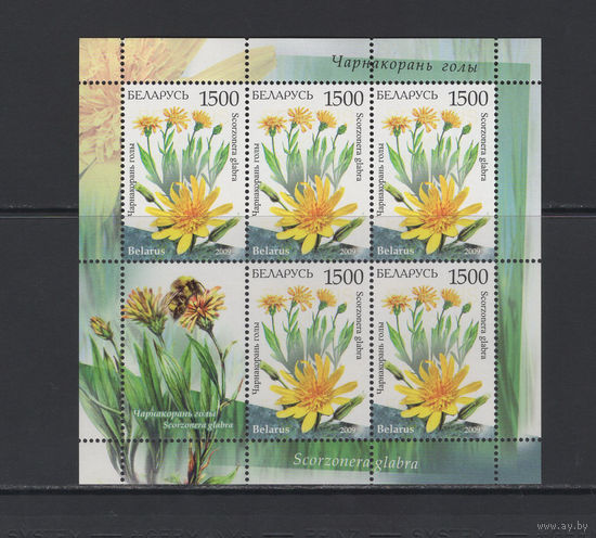 Флора цветы Беларусь 2009 Малый лист "Чернокорень голый"