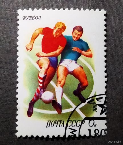 Марка СССР 1981 год  Спорт в СССР
