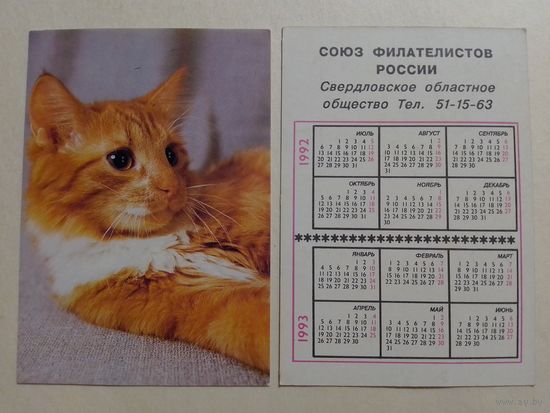 Карманный календарик. Котик.1992 год