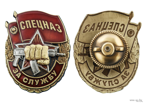 Знак За службу в Спецназе