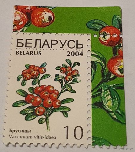 Ягоды 2004 год