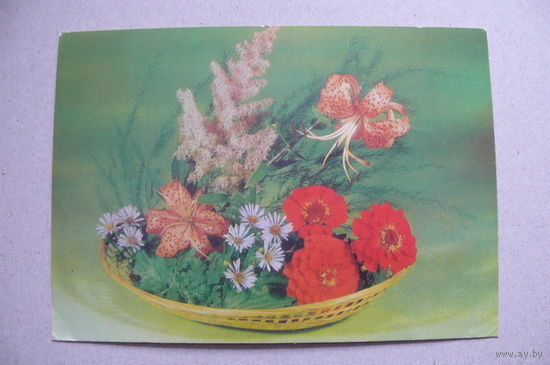 Круцко Л., Цветы; 1984, подписана.