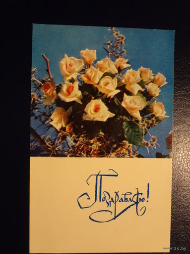 Поздравляю! Букет роз. 1970 г. подписанная.