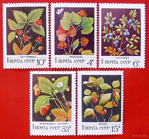 СССР.  Дикорастущие ягоды. ( 5 марок ) 1982 года.