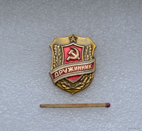 Дружинник.