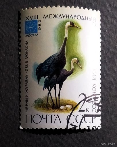 Марка СССР 1982 год Орнитологический конгресс