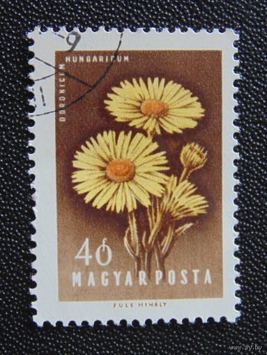 Венгрия. Флора.