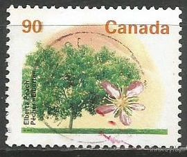 Канада. Фруктовое дерево. Персик. 1995г. Mi#1499.
