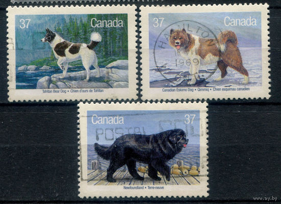 Канада - 1988г. - собаки - 3 марки - гашёные. #3-WB-94-KS-7
