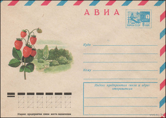 Художественный маркированный конверт СССР N 12182 (24.06.1977) АВИА  Земляника