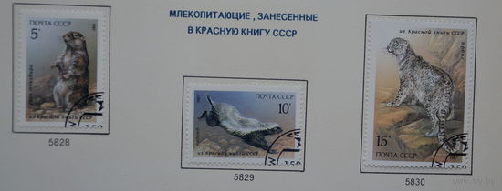 Ссср