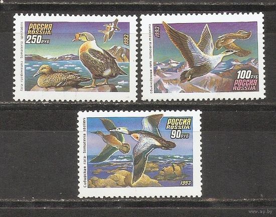 ФФ1 Россия 1993 Птицы
