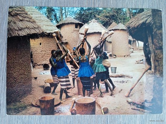 Этнография. Африка. Группа женщин, готовящих еду