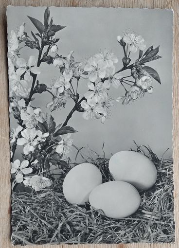 Пасхальная открытка. 1960-е. Германия. Подписана.