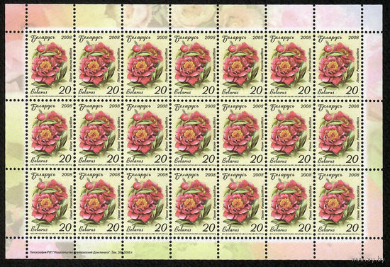 Беларусь. 2008. Стандарт. Пион (20р) (з.365-2008) Лист