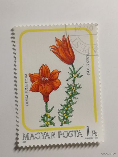 Венгрия 1985. Флора. Цветы. Лилии