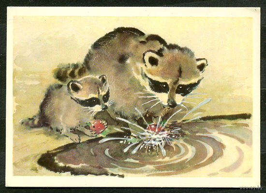 Еноты. Худ. Л. Гамбургер. 1977