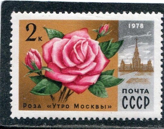СССР 1978. Цветы. Роза