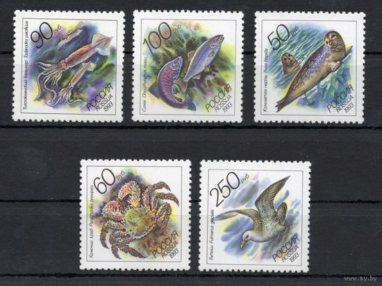 Россия 1993. Фауна. Животные морей 5 марок 104-108 (6