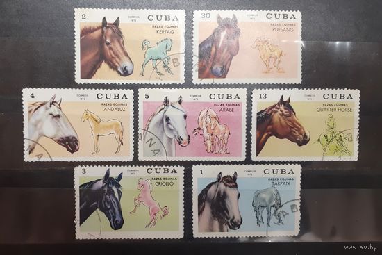 Куба. 1972 год. Фауна. Лошади (389)