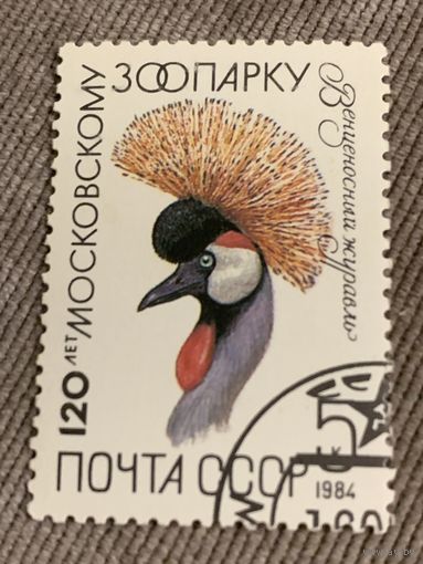 СССР 1984. Венценосный журавль. Марка из серии