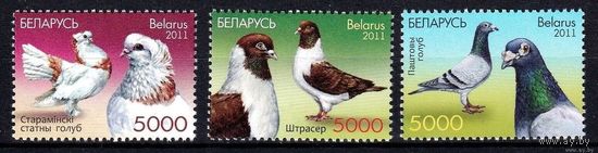 Голуби Беларусь 2011 год Фауна птицы Голуби (906-908) серия из 3-х марок **