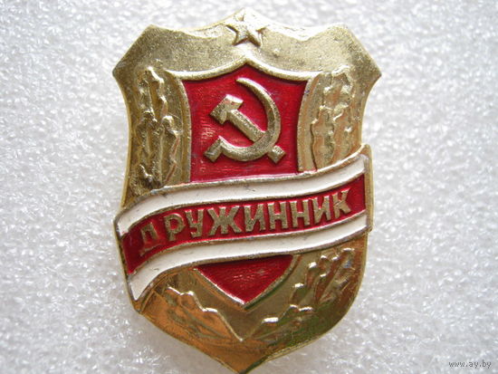 Дружинник.