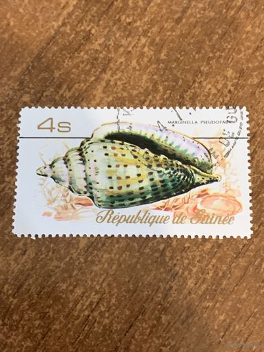Гвинея 1977. Ракушки. Marginella Pseudofaba. Марка из серии