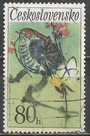 Чехословакия. Обыкновенная кукушка. 1972г. Mi#2111.