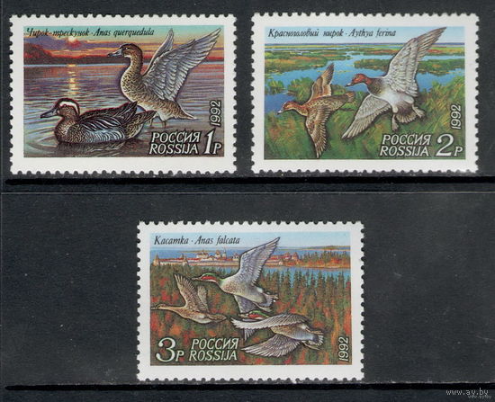 Россия /1992/ Фауна / Утки / Michel #RU254-256 / Серия 3 Марки