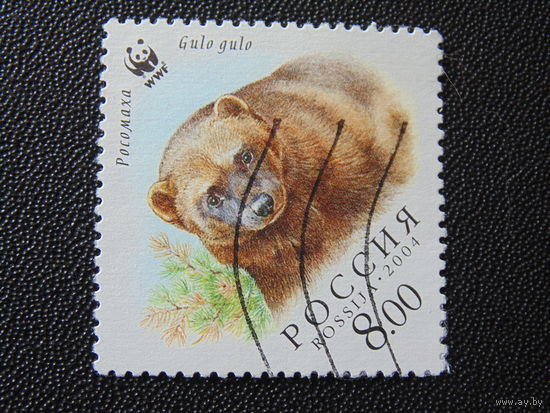 Россия 2004 г. Росомаха.