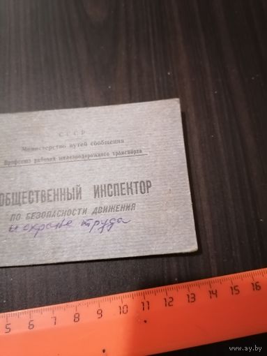 Общественный инспектор
