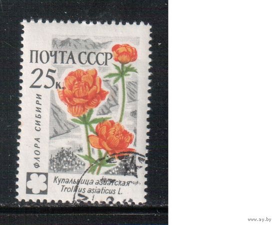 СССР-1960, (Заг.2411), гаш.(с клеем) , Флора, Цветы