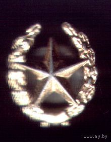Петличная эмблема общевойсковая