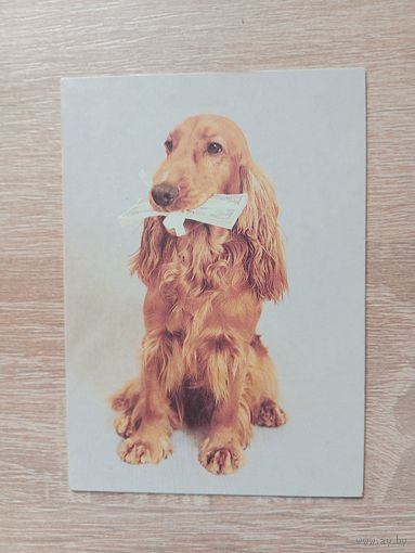 Календарик 1993