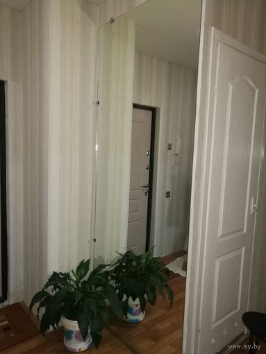 Зеркало для купе или на стену 2,43 х 98 см