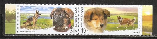 ФФ2 Россия 2016 Собаки