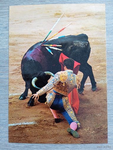 Этнография. Испания, коррида