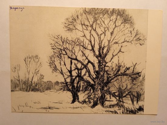 1956. Дерегус. Пейзаж